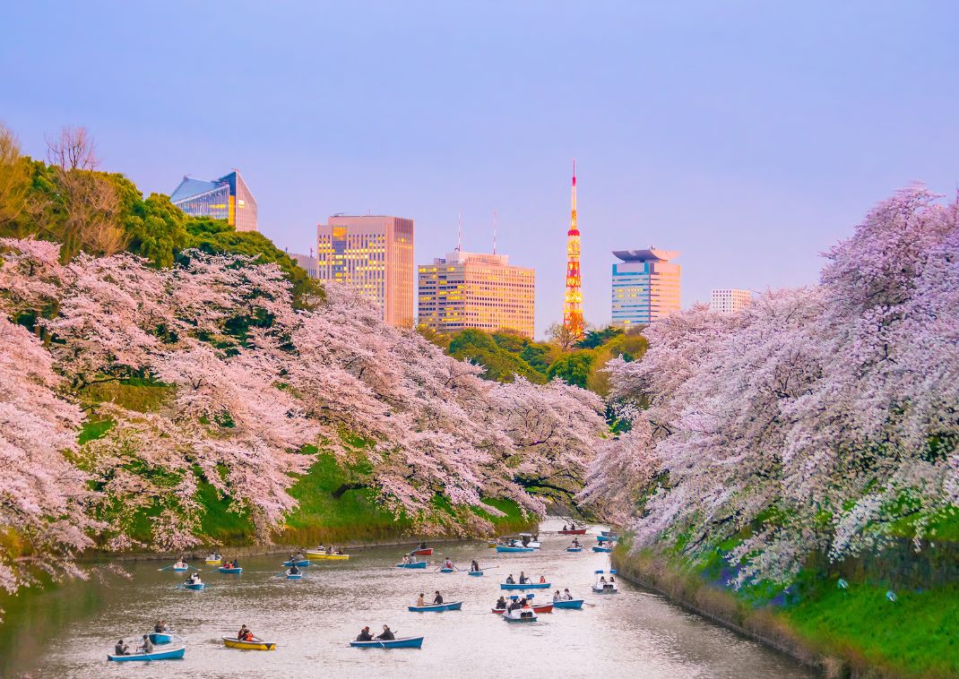 4_spring_in_japan_body.jpg