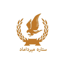 ستاره میر داماد